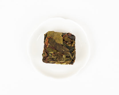 Aether - Zhangping Shui Xian Oolong Tea